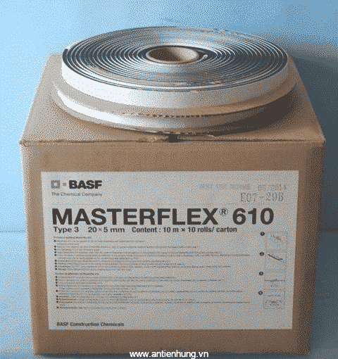 MASTERFLEX 610